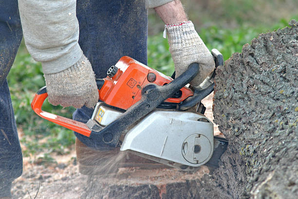 Mulching Services in Surfside, FL